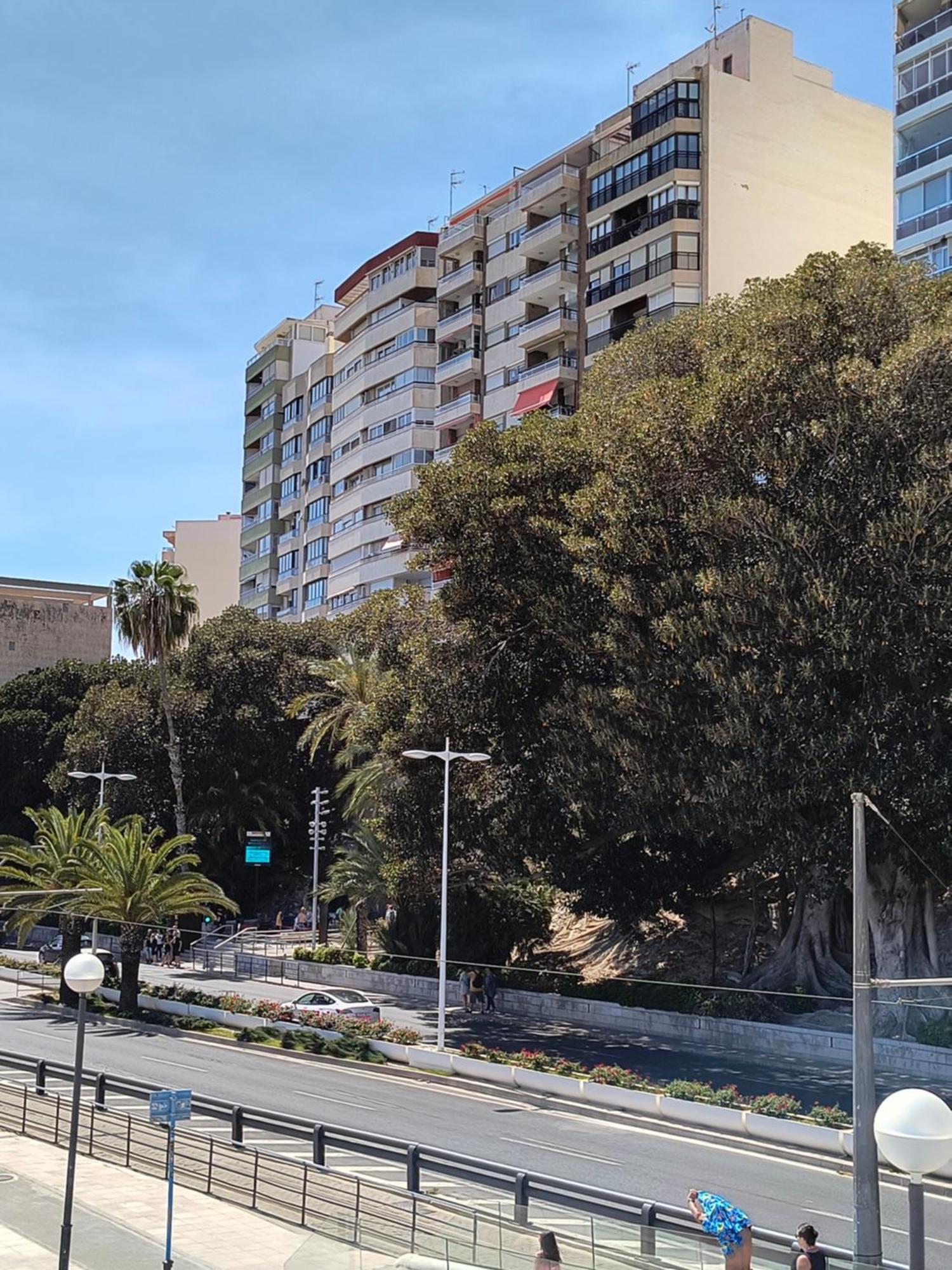 Apartamento Playa لقنت المظهر الخارجي الصورة
